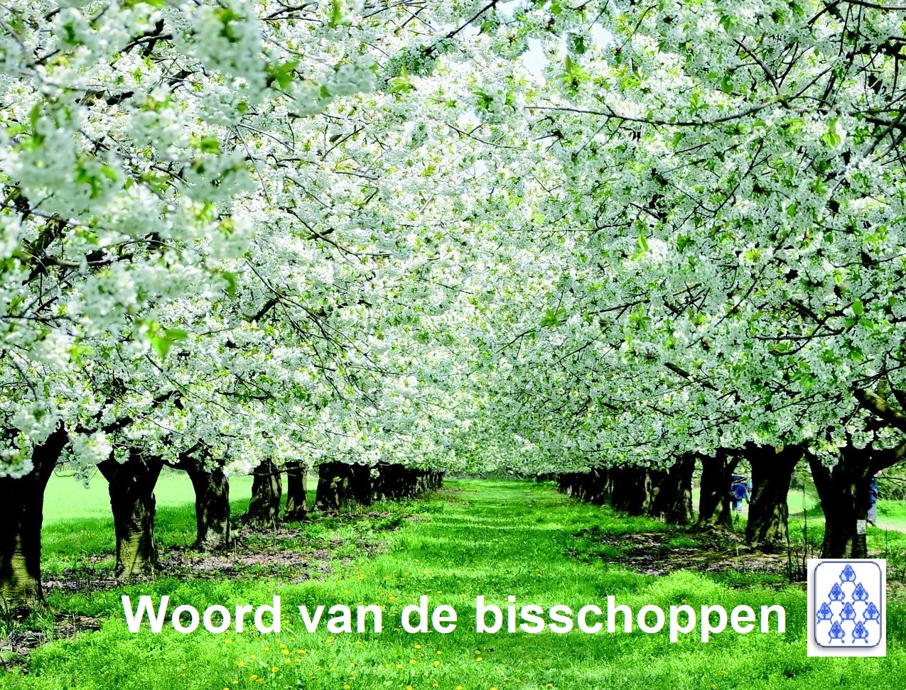 Woord van de bisschoppen boomgaard bloesem bgs